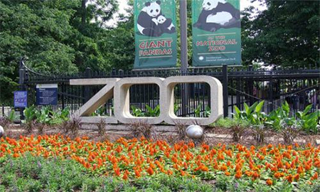 Dos heridos en un tiroteo cerca del zoológico en Washington